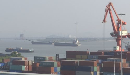 江門市全面構(gòu)建開放型經(jīng)濟(jì)發(fā)展新格局