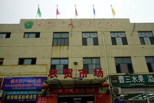 江門區政府主要領導冒雨調研檢查全區商貿企業“雙節”供應及安全生產工作